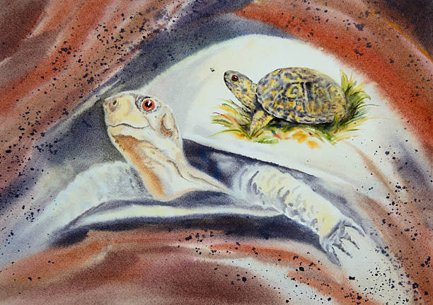 Box Turtle Spirit vector art illustration