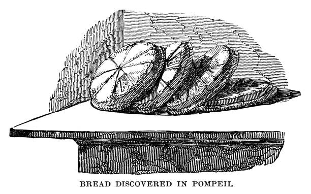 illustrazioni stock, clip art, cartoni animati e icone di tendenza di pane scoperto a pompei - pompei