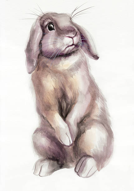 Brown rabbit watercolor painting vector art illustration