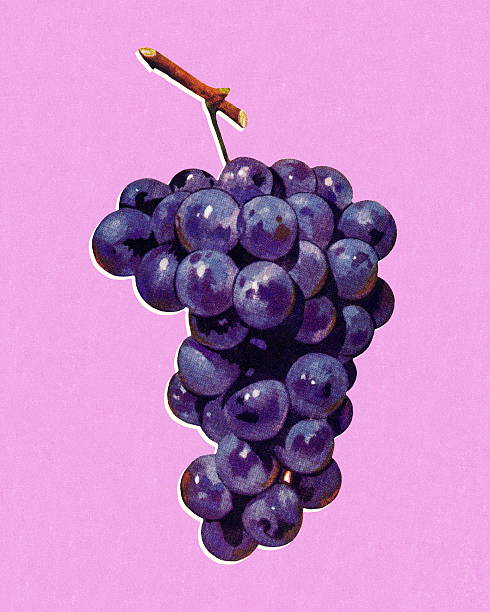 Bunch of Grapes Bunch of Grapes colored background illustrations stock illustrations