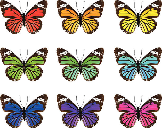 Purple Butterfly Silhouette Illustrations, Royalty-Free Vector Graphics