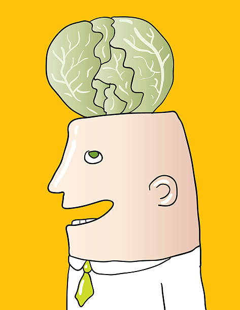 cabbage head vector art illustration