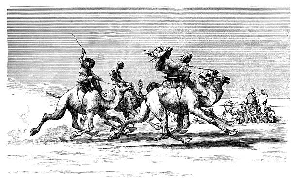 Camel racing in Egypt Camel racing in Egypt. From “Rip Van Winkle’s Travels in Africa & Asia”, published by Thomas Y. Crowell & Co., New York, 1882.  tunisia woman stock illustrations