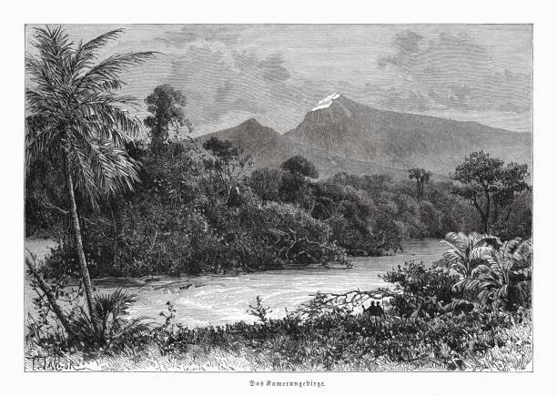 камерунские горы, гравюра на дереве, опубликованная в 1891 году - cameroon stock illustrations