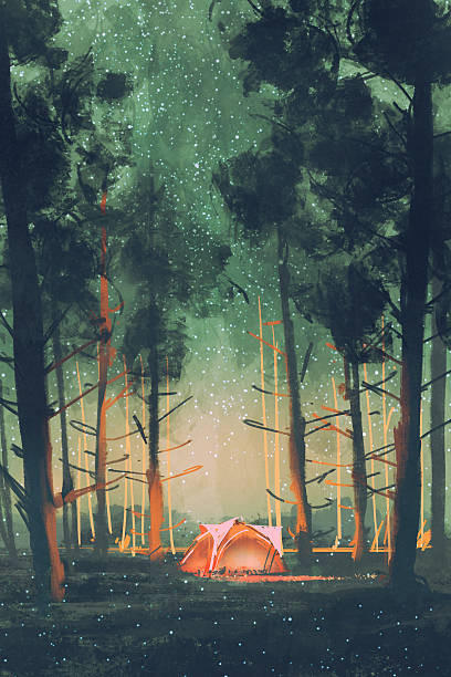 별과 반딧불이와 밤에 숲에서 캠핑 - 텐트 일러스트 stock illustrations