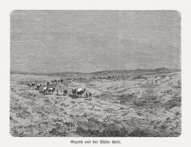 illustrazioni stock, clip art, cartoni animati e icone di tendenza di caravan in the gobi desert, incisione su legno, pubblicato nel 1893 - gobi desert