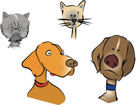 Cartoon Pets