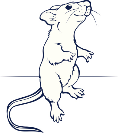 cartoon rat or mouse