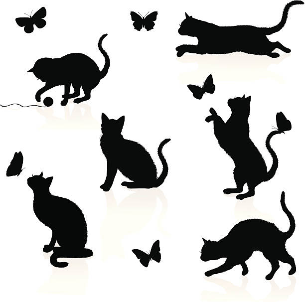 Cats and butterflies. Silhouettes of cats with butterflies. arthropod stock illustrations