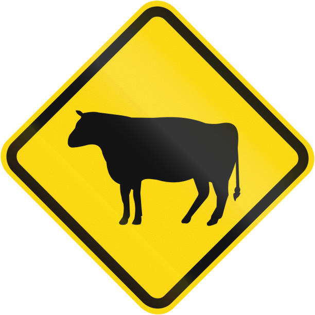 ilustrações, clipart, desenhos animados e ícones de gado atravessando o sinal de alerta no brasil - gado brasil