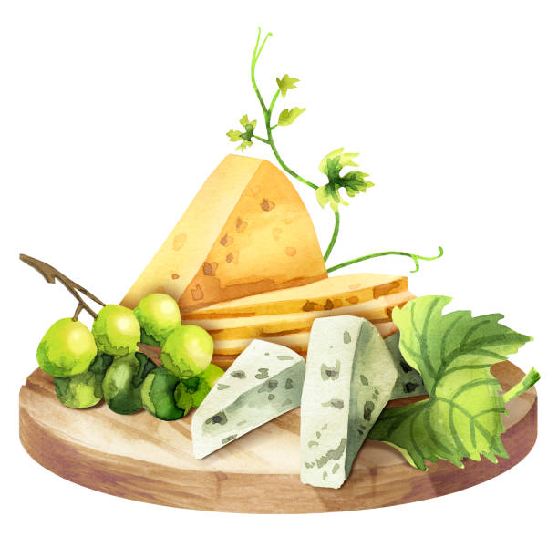 Best Cheese Tray Illustrations, Royalty-Free Vector Graphics & Clip Art ...