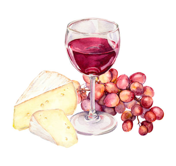 Cheese, grape and red wine glass. Watercolour Cheese, grape and red wine glass. Watercolour picture brie stock illustrations