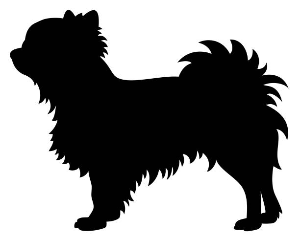 чиуахуа собака вектор силуэт - silhouette of the chiwawa puppy stock illust...