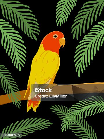 istock Colorful bird against a dark background with green palm leaves 1383009409