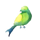 istock Colorful green bird silhouette watercolor illustration on white background. 1404884701