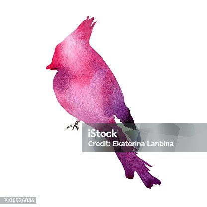 istock Colorful purple bird silhouette watercolor illustration on white background. 1406526036