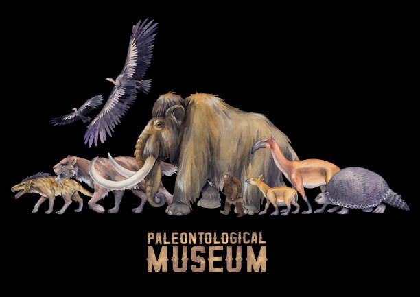 Composition of a watercolor prehistoric animals and primordial human walking in a line Composition of a watercolor prehistoric animals and primordial human walking in a line. Hand painted historical illustration of the Ice Age mastodon animal stock illustrations