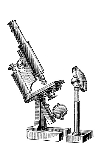Viajero Delegar Si ✓ Imagen de Microscopio compuesto de Edmund Hartnack Fotografía de Stock