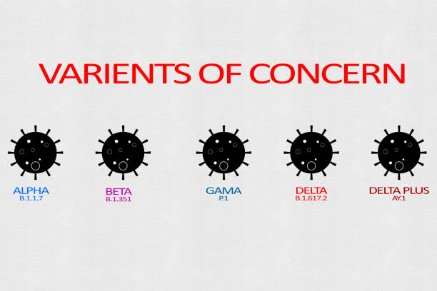 ilustraciones, imágenes clip art, dibujos animados e iconos de stock de concepto que muestra de coronavirus covid-19 diferentes variantes que están en preocupación como alfa, beta, gamma, delta y delta plus son mutaciones de coronavirus - covid variant