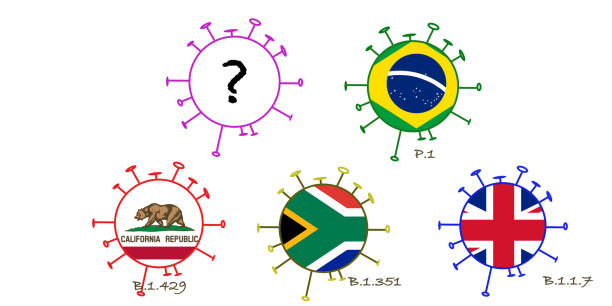 코로나 바이러스 돌연변이 또는 변이체 브라질, 영어, 남아프리카 공화국, 그리고 캘리포니아, 그리고 알 수없는 . - covid variant stock illustrations