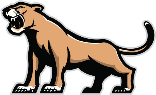Cougar mascot