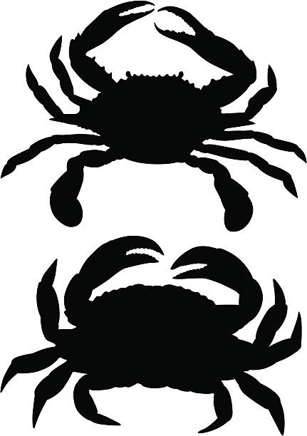 Crabs A pair of crabs in silhouette. blue crab stock illustrations