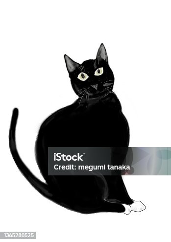 istock cute cat 1365280525
