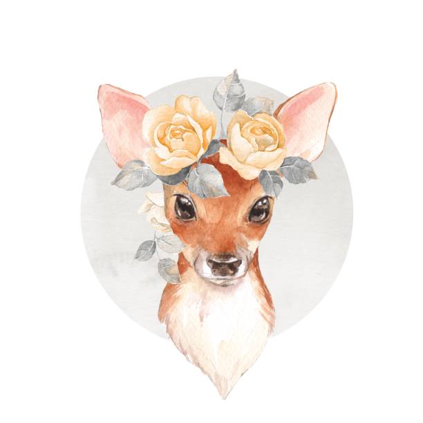 Cute fawn. Watercolor illustration Baby Deer and flowers. Hand drawn cute fawn. Watercolor illustration young deer stock illustrations