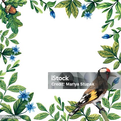 istock Cute finch illustration. Square floral frame. Bird art. Cartoon style. Gouache painting. Goldfinch  portrait. Winter decor. Invitation frame. Holiday greeting. Ornitology art. Birdwatchig hobby. 1396526324