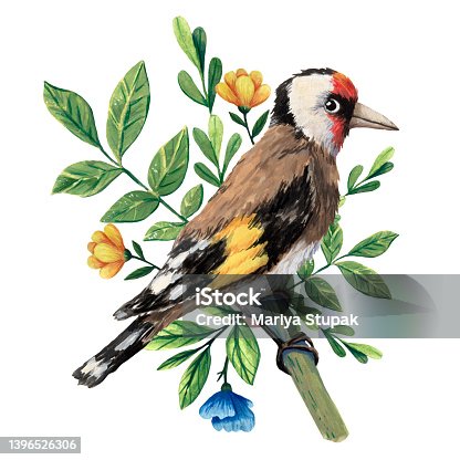 istock Cute goldfinch illustration. Bird in the flowers. Cartoon style. Gouache painting. Children illustration. Finch portrait. Isolated hand drawn illustration. Ornitology art. Birdwatchig hobby. 1396526306