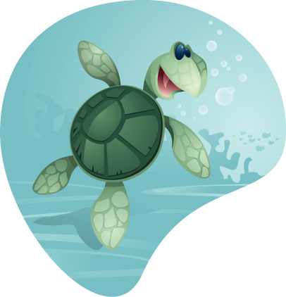Cute Sea Turtle