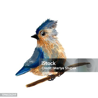 istock Cute watercolor bird illustration. Bird art. Cartoon style. Gouache painting. Children illustration. Animal portrait. Isolated hand drawn illustration. Ornitology art. Birdwatchig hobby. 1396526249