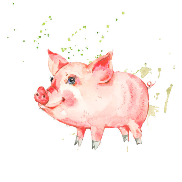 1,650 Painted Pig Stock Photos, Pictures &amp; Royalty-Free Images - iStock