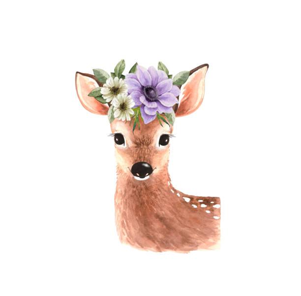 bildbanksillustrationer, clip art samt tecknat material och ikoner med söt ung hjort med en bukett blommor på huvudet, illustration akvarell - rådjur