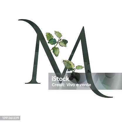 istock Dark letter M symbol with green melissa twigs 1391361229