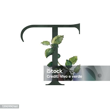 istock Dark letter T symbol with green melissa twigs 1390990160