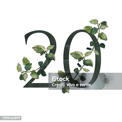 istock Dark number 20 symbol with green melissa twigs 1395462899