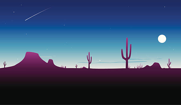 Desert Twilight [vector]  desert area silhouettes stock illustrations