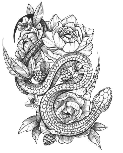 Detailed Black Ink Detailed Tattoo Snake in Floral Composition Black Ink Tattoo Funny Rick in Floral Composition. Contrast monochrome image. Peonies, raspbery and spikelet composition with a snake. snakes tattoos stock illustrations