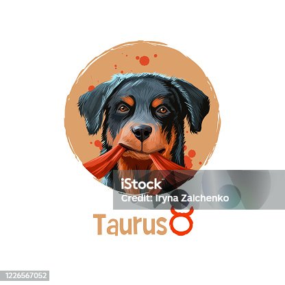 istock Digital art illustration of astrological sign Taurus. Year of dog. Second of twelve zodiac signs. Horoscope earth element. Logo sign with bull horns. Graphic design for web, print. Add any text 1226567052