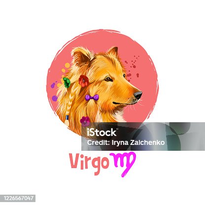 istock Digital art illustration of astrological sign Virgo. Year of dog. Sixth of twelve zodiac signs. Horoscope earth element. Logo sign with girly dog. Graphic design clip art for web, print. Add text 1226567047
