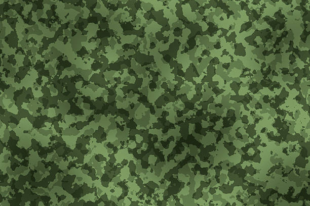 Royalty Free Camouflage Clip Art, Vector Images & Illustrations - iStock