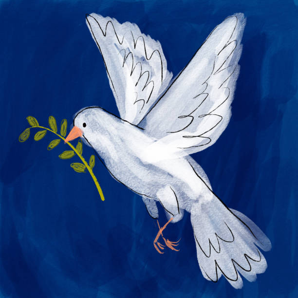 Dove holding olive branch vector art illustration