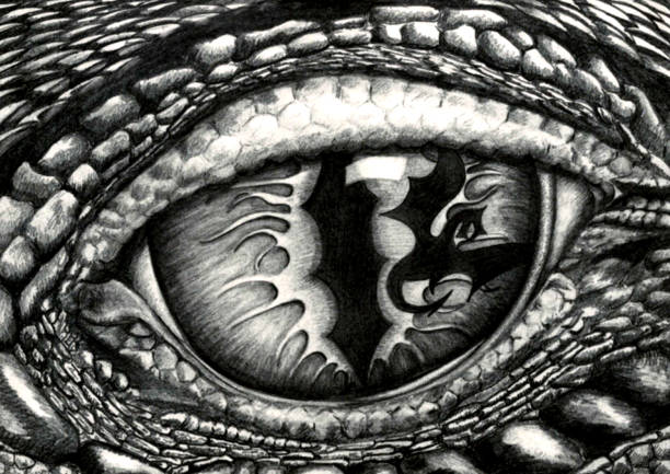 ilustrações de stock, clip art, desenhos animados e ícones de dragon eye monochrome illustration - dragões olho