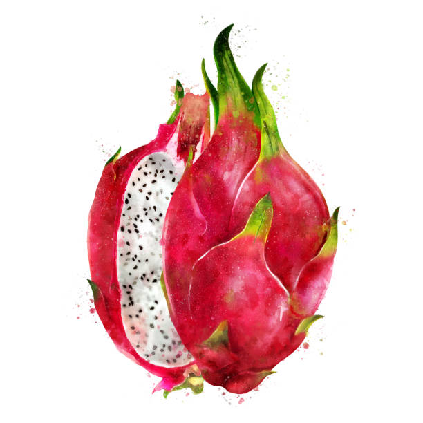 Dragon Fruit Illustrations, Royalty-Free Vector Graphics & Clip Art ...