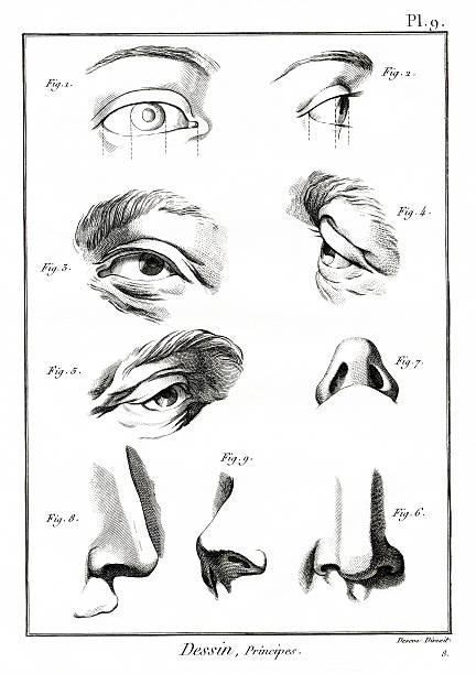 Drawing  eye drawings stock illustrations