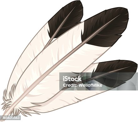 istock Eagle Feathers 165635563