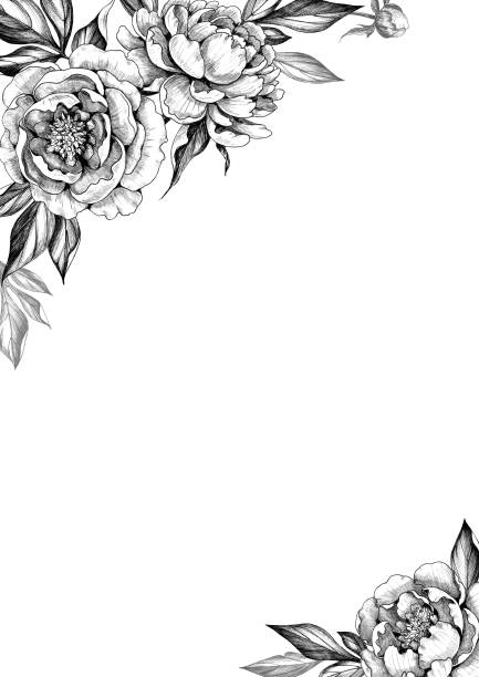White Flower Corner Illustrations, Royalty-Free Vector Graphics & Clip ...