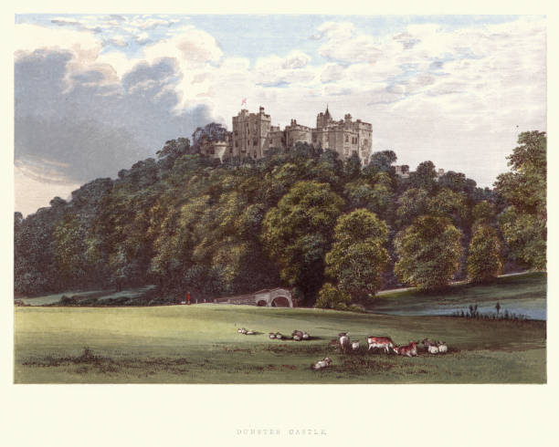 English country mansions -  Dunster Castle, Somerset, England Vintage engraving of Dunster Castle a former motte and bailey castle, now a country house, in the village of Dunster, Somerset, England. A Series of Picturesque Views of Seats of the Noblemen and Gentlemen of Great Britain and Ireland somerset england stock illustrations