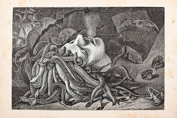 음각 메두사 헤드 라잉 바닥 메트로폴리스 1875 - medusa stock illustrations